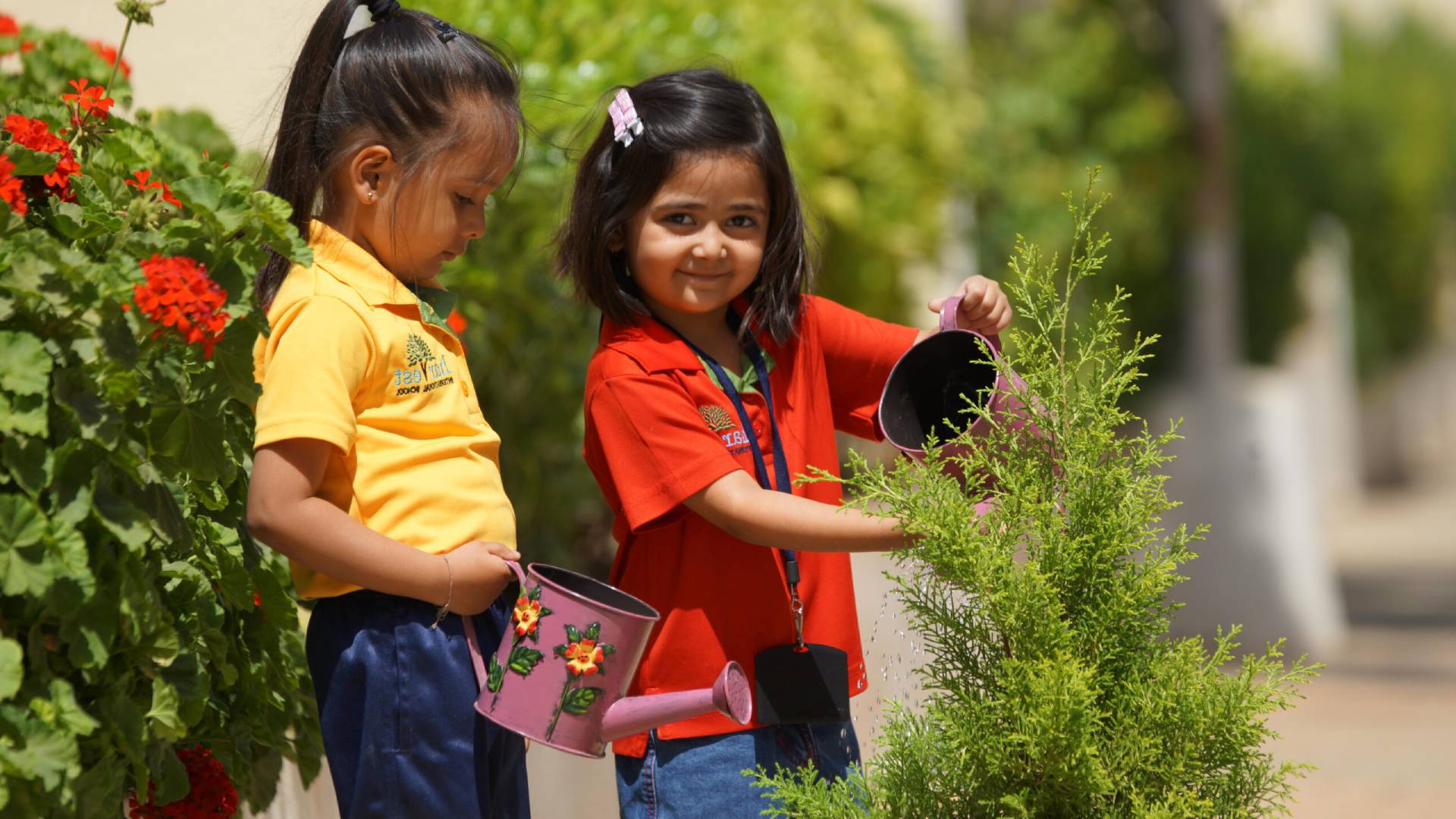 Best Montessori School in Bangalore | Cherubs Montessori